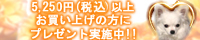 �L�����y�[��