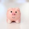 DECOLE concombre �j�Â����u�� �u�^&nbsp;�y�F(�^�C�v)�FZCB82691-pig�z